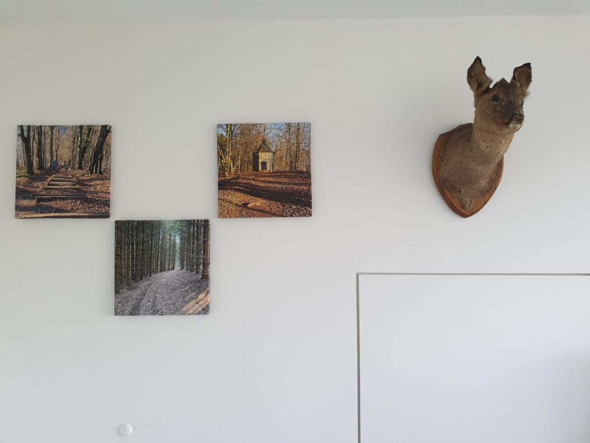Apartamento Terrasses De Malmedy - Duplex "Happiness" - Pellet & Airco- Exterior foto